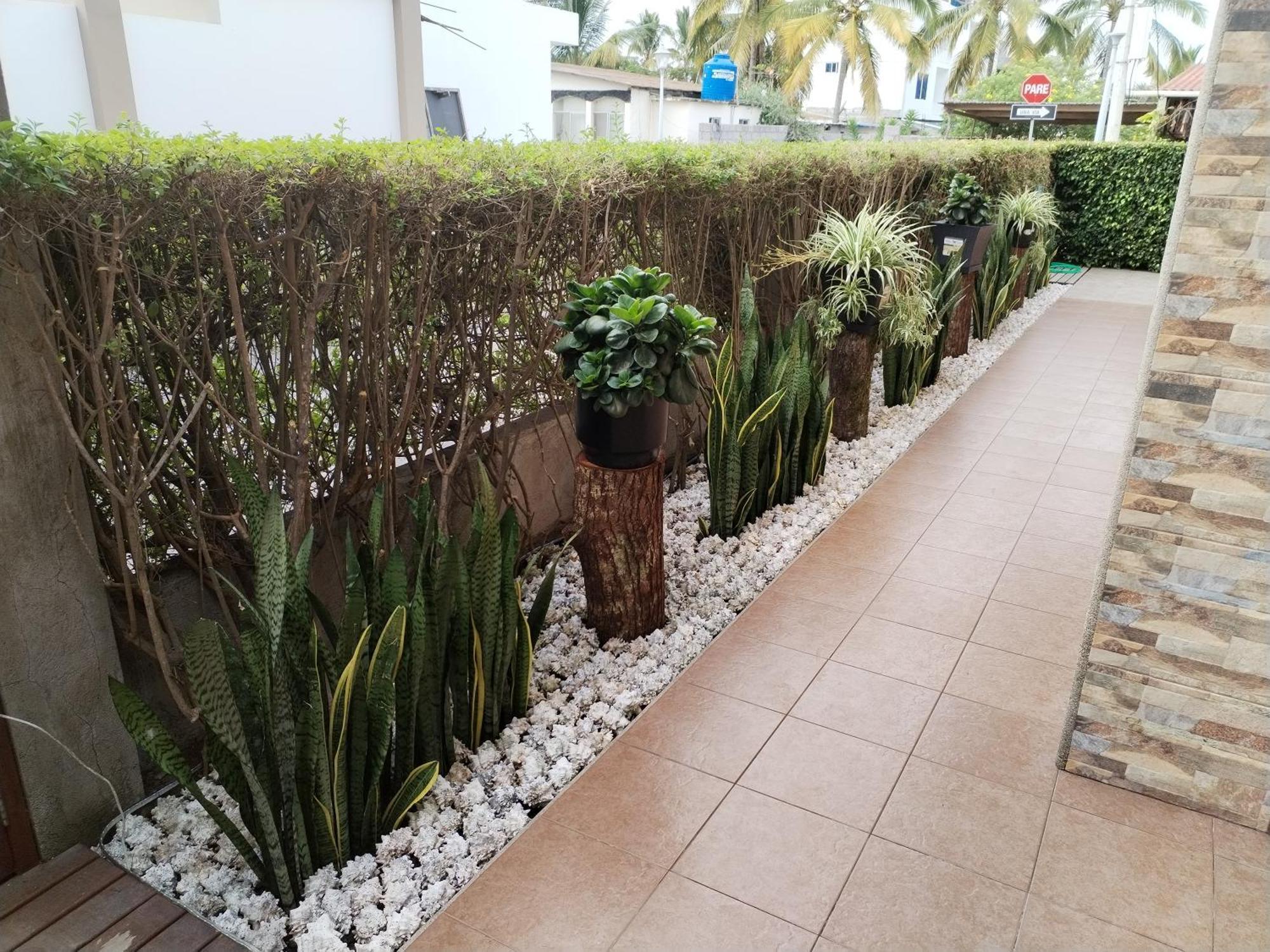 Hotel Starfish Puerto Villamil Bagian luar foto